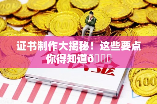 浔阳证书制作大揭秘！这些要点你得知道😎